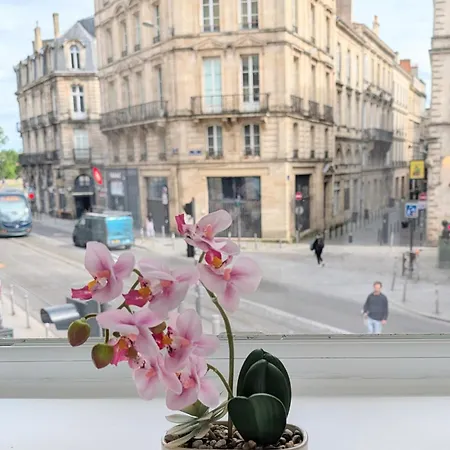 아파트 Renove Avec Parking Quartier Historique *